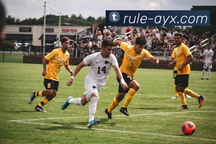 爱游戏平台生态图